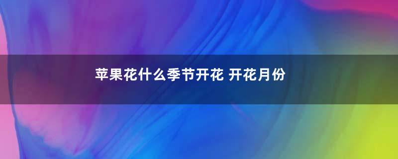 苹果花什么季节开花 开花月份